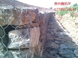 格宾网04