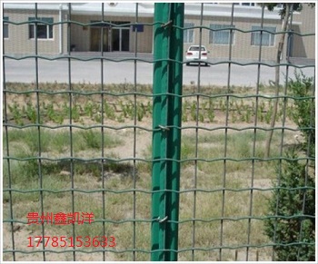 围栏荷兰网03